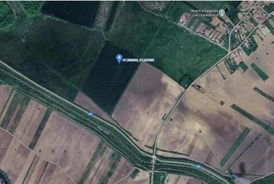 Teren extravilan cota parte 1/5, Golaiesti, ID: R2838330 - 4