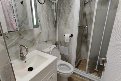 Închiriere garsoniera Costin Georgian - Morarilor - 3