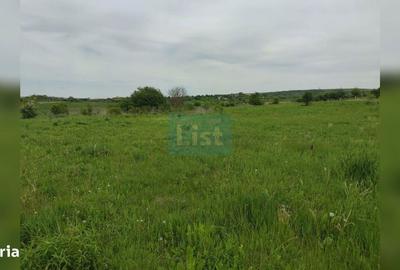 Spațiu comercial, în Sopor - 3