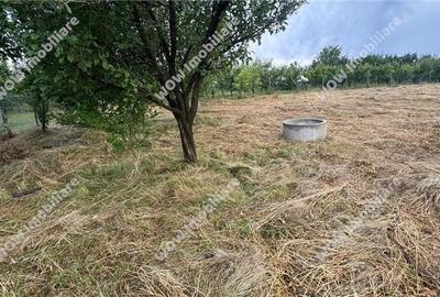 Teren intravilan 800 mp deschidere 40 ml Daia Noua - Sibiu - 5