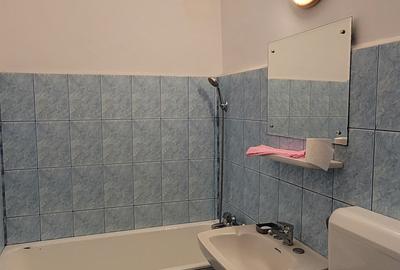 Piata Sudului/ Secuilor, 50 m.p. - 5