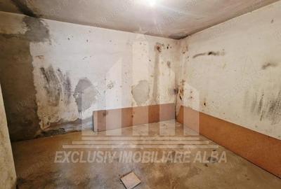 Boxa cu 2 camere in Cetate - 3