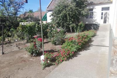 Casă cu 6 camere cu Teren 4300 Mp în Central