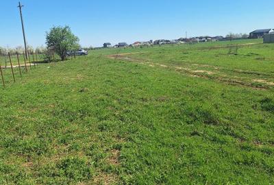 Teren Construcții intravilan de 2262 mp, în Dragomirești-Vale - 5