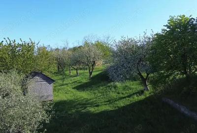 Teren 4800 mp cu Livada si Casa Nefinalizata - Adancata! - 7