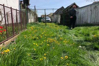 Casă cu Teren 3000 Mp în Ianoșda - 2