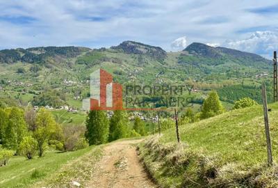 Teren in sat Pestera, comuna Moeciu. - 8