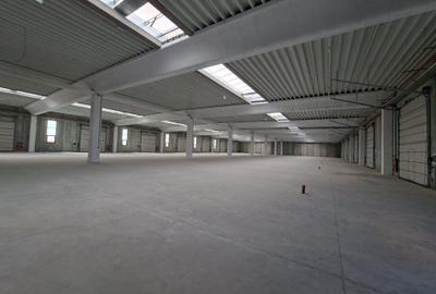 Hala beton 3000 mp, ideal fabrica, 10 Porti TIR, dedicat 400 kw Hala beton 3000 mp, ideal fabrica, 10 Porti TIR, dedicat 400 kw - 6