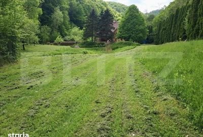 Casă cu 3 camere cu Teren 2500 Mp în Ighiu - 13
