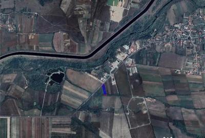 Teren de 2868 mp, în Tileagd - 4