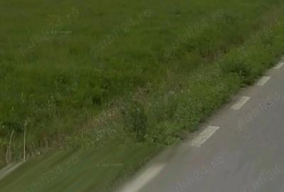 Teren de 4000 mp, în Florești - 6