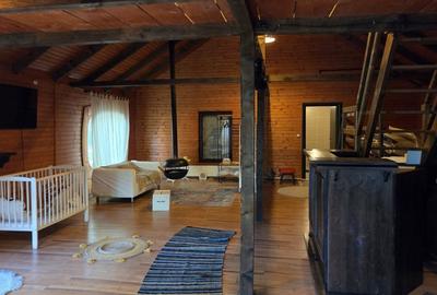 Spatiu evenimente langa Bucuresti, spatiu inchiriat cu 1500 €/luna - 11