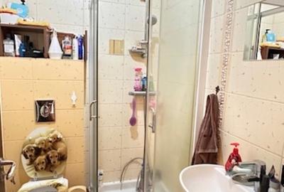 ZONA STO -Parte Duplex D+P+M , aprox. 200mp cu teren 205mp! - 16
