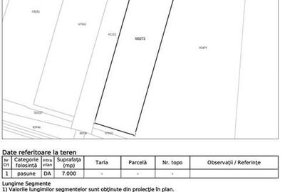 Teren Construcții intravilan de 7000 mp, în Brătuleni - 3