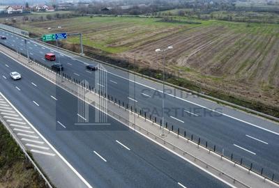 Teren 2727mp | Moara Vlasiei, Caciulati | A3 - 3