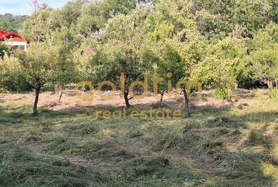 CASA IN ZONA LINISTITA/MOBILATA/UTILATA/TEREN IMPRESIONANT 5000MP/CORNU/PRAHOVA - 53