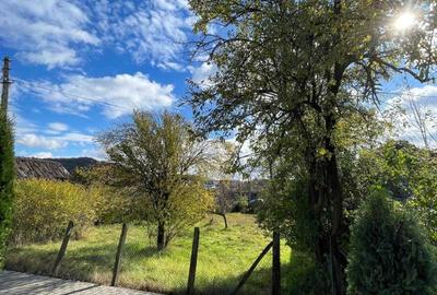 Spațiu comercial, în Miheșu de Câmpie - 4