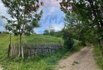 Teren Construcții intravilan de 6865 mp, în Voroneț - 21