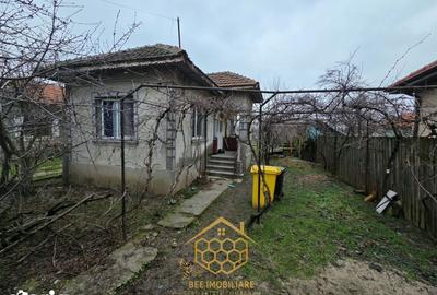 Teren de 1451 mp, în Podari - 11