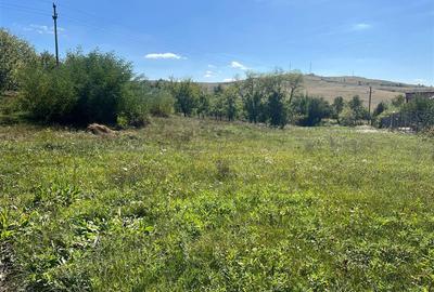 Teren Construcții intravilan de 2075 mp, în Drajna de Jos - 6