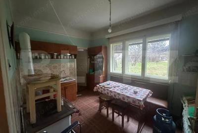 Casă cu 4 camere cu Teren 6197 Mp în Viile Satu Mare - 16