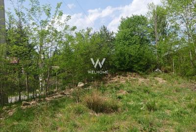 Teren agricol extravilan de 3000 mp, în Cârța - 3