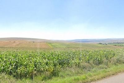 Teren extravilan in Rediu - Aiton, 4300 mp, la 150 m distanta de intravilan - 1