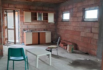 Vand casa nou construita in Beregsau Mic - 6