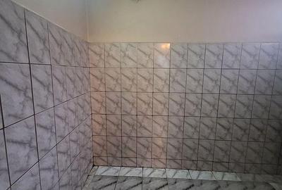 Casă cu 4 camere cu Teren 310 Mp în Tei - 3