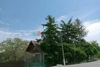 Casă cu 4 camere cu Teren 2038 Mp în Cujmir - 3