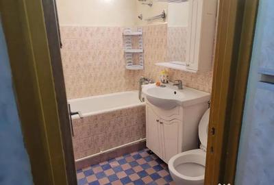 Apartament cu 2 camere semidecomandat, mobilat în Brotăcei - 8