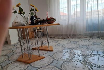 Casa mare cu 2 spatii comerciale, in Faget - 10