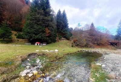 Teren intravilan panoramic 4.600mp,view iconic Piatra Craiului,oportunitate prem - 18
