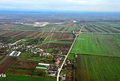 Teren de 113950 mp, în Uliești - 13
