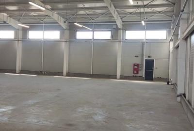 Spațiu comercial, de 520 mp, în Afumați - 6