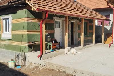 Casă cu Teren 4642 Mp în Bârsău - 5