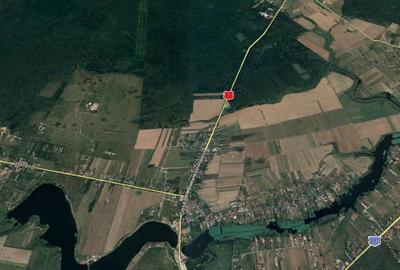 Teren de 100000 mp, în Tâncăbești - 3