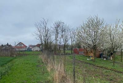 Teren de 5000 mp, în Lazuri - 2