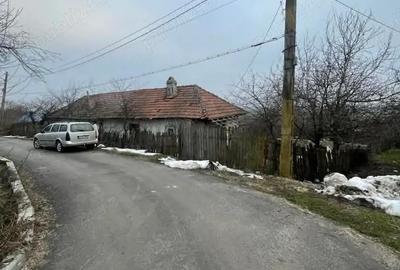 Casă cu Teren 1418 Mp în Băneasa - 1