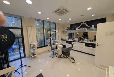 Inchiriere vila P+2+M cu 6 camere constructie 2008 ideal clinica stomatologica - 7