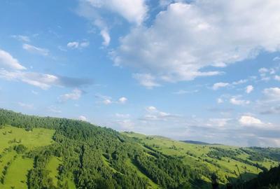 Teren de 120000 mp, în Baciu - 2