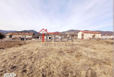 Teren de 1000 mp, în Alexandru cel Bun - 5