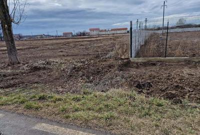 Teren de 12800 mp, în Ciolpani - 6