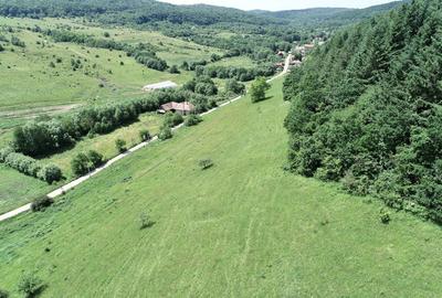 Teren de 8000 mp, în Micești - 6
