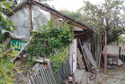 Vind casă în com Ulmu jud Călărași str cimitirului nr 12 - 5