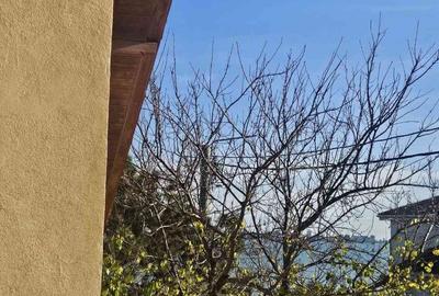 Casă cu 6 camere cu Teren 402 Mp în Central - 2