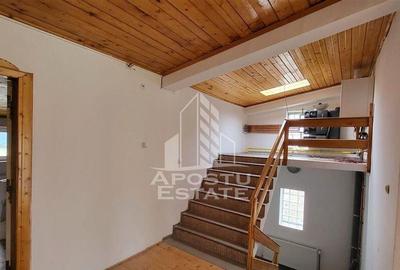 Casa ideala pentru birouri/alte activitati Mehala - 15