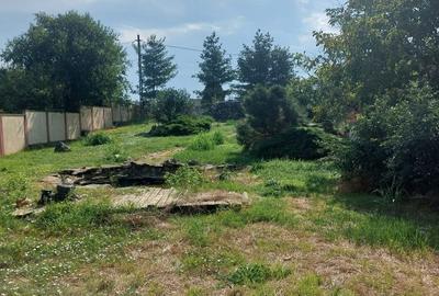 Casă cu 4 camere cu Teren 1000 Mp în Zimandcuz - 2