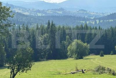 Teren de 20000 mp, în Central - 12