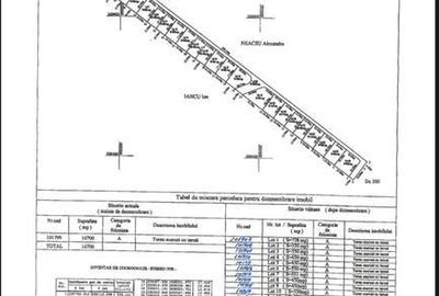 Teren de 550 mp, în Central